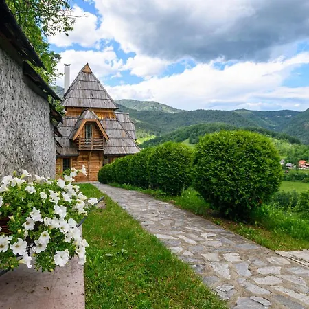 Апартаменты Neva