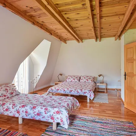 Neva * Мокра-Гора