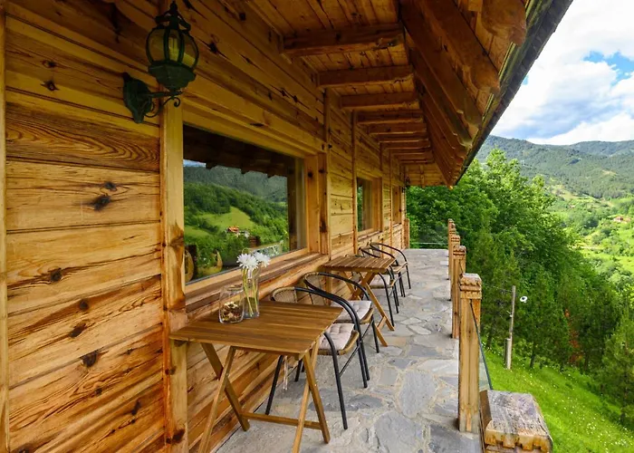 Neva 莫克拉戈拉