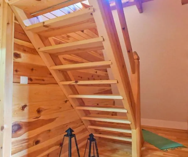 Neva * 莫克拉戈拉